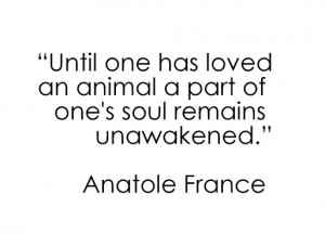 Animal quote